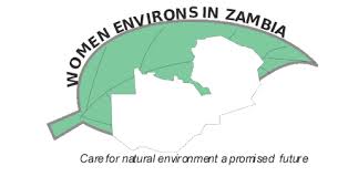 women environs logo